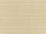 Dupione Sand