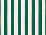 Mason Forest Green