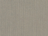 Spectrum Dove