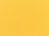 Sunflower Yellow