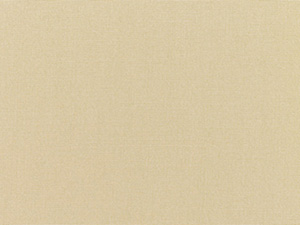 Sunbrella Antique Beige fabric swatch