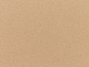 Sunbrella Camel fabric swatch