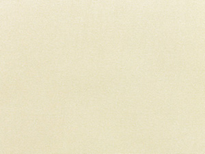 Sunbrella Canvas fabric swatch