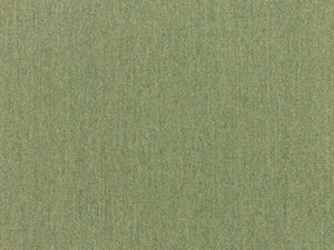 Sunbrella Fern fabric swatch