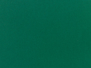 Sunbrella Forest Green fabric swatch