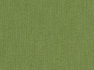 Sunbrella Spectrum Cilantro fabric swatch