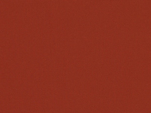 Sunbrella Terracotta fabric swatch