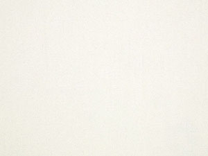 Sunbrella White fabric swatch