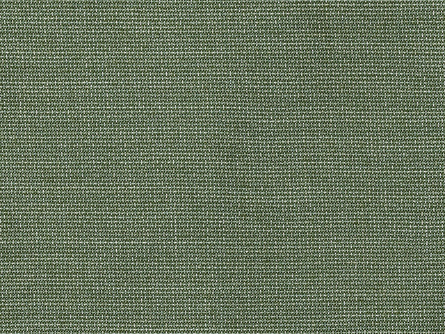 Sunbrella Bliss Aloe (48135-0017) fabric