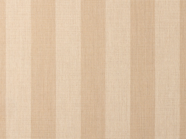Sunbrella Expressive Sparrow (14121-0000) fabric