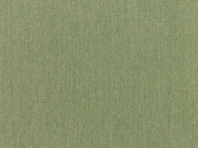 Sunbrella Fern (5487-0000) fabric