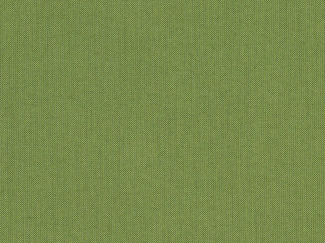 Sunbrella Spectrum Cilantro (48022-0000) fabric