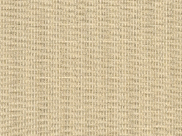 Sunbrella Spectrum Sand (48019-0000) fabric