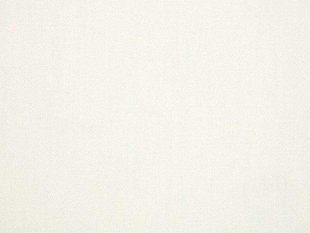Sunbrella White (57003-0000) fabric